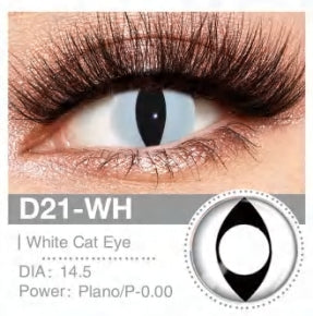 Contact Lenses